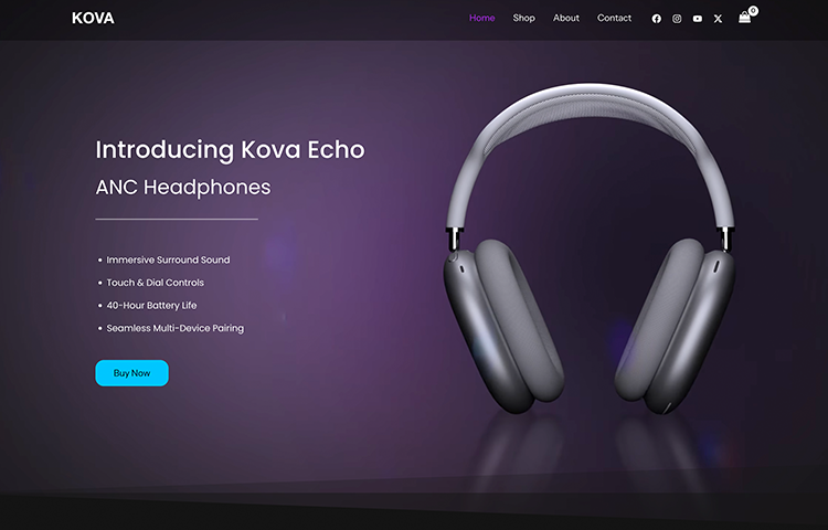 Home website 1